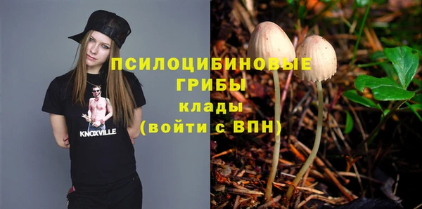 твердый Армянск
