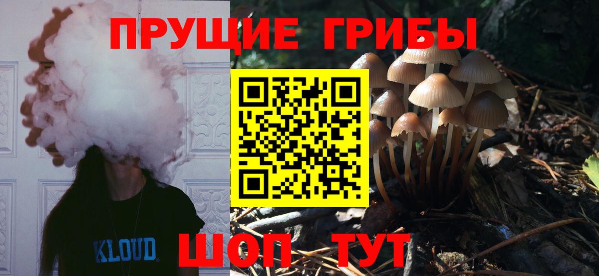 Псилоцибиновые грибы Cubensis  Вход с VPN  Баксан  Псилоцибиновые грибы Psilocybe 